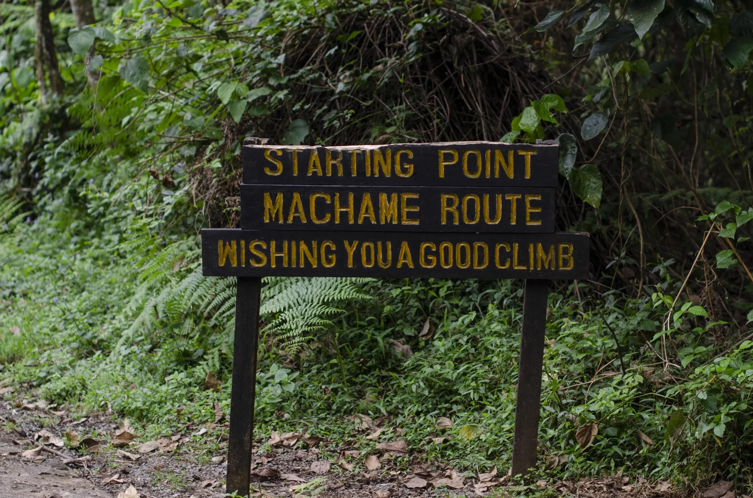 Day 2: Machame Gate to Machame Camp