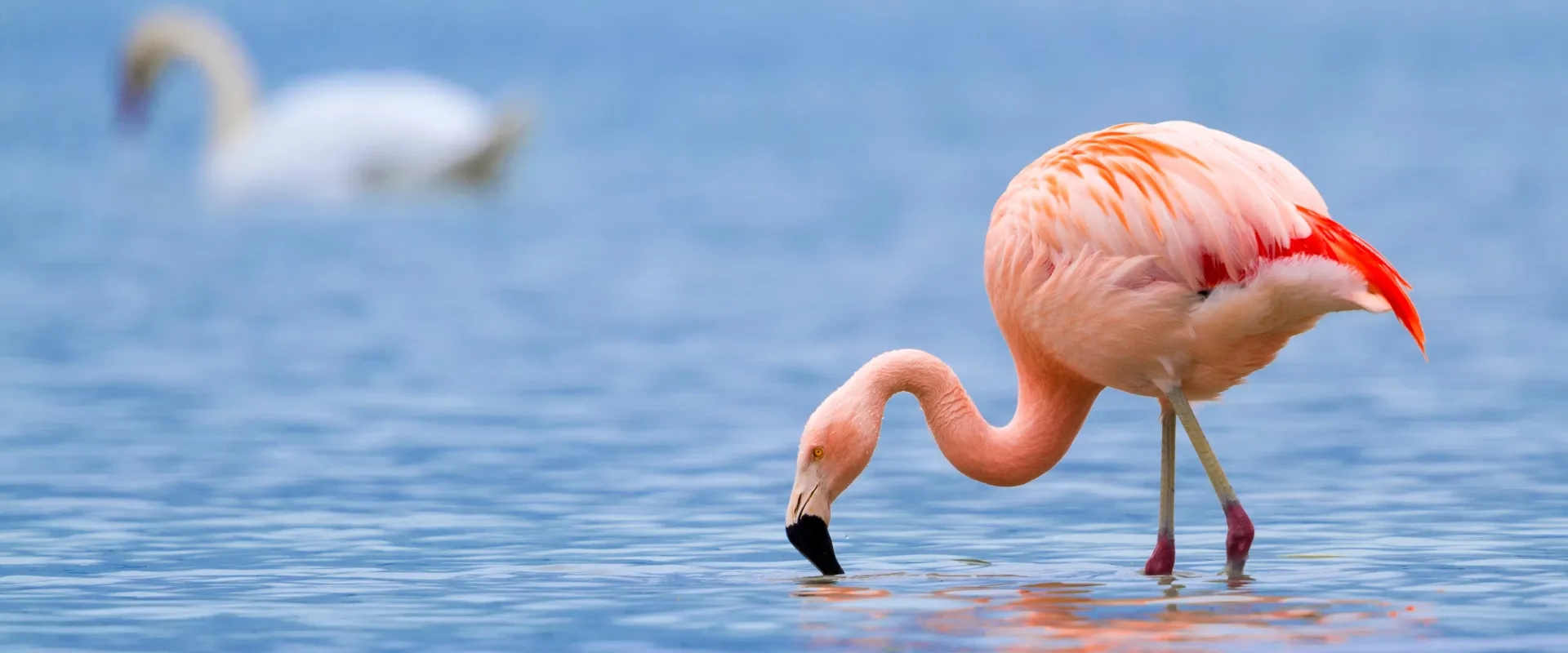 Lake Manyara