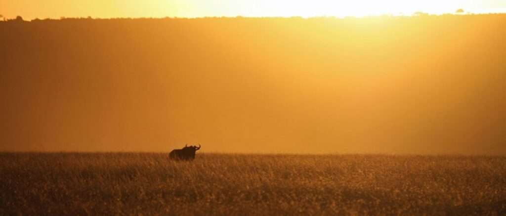 Serengeti National Park