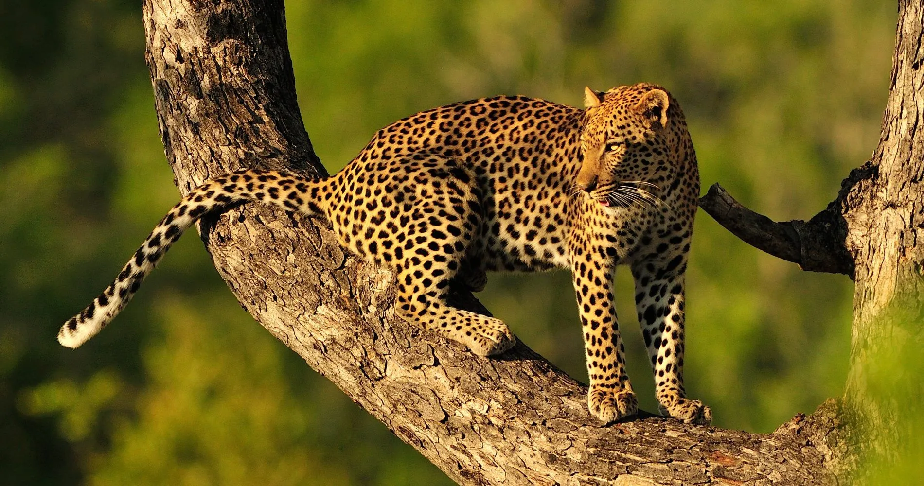 Serengeti National Park