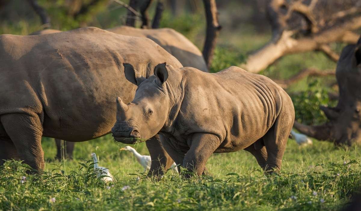 Serengeti National Park